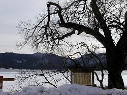 20060120kohoku (3).jpg